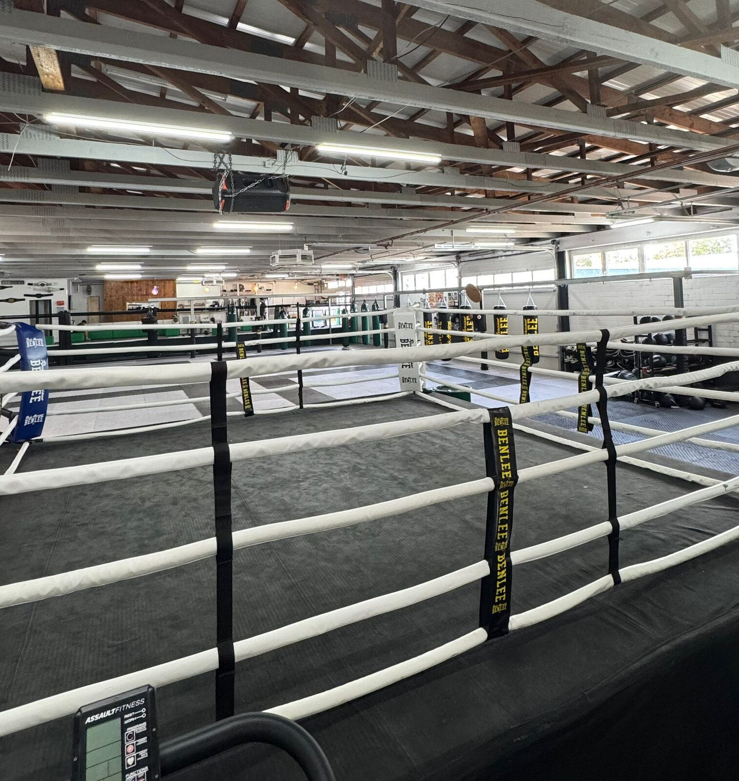 Boxring im Bulldog Gym Heidelberg