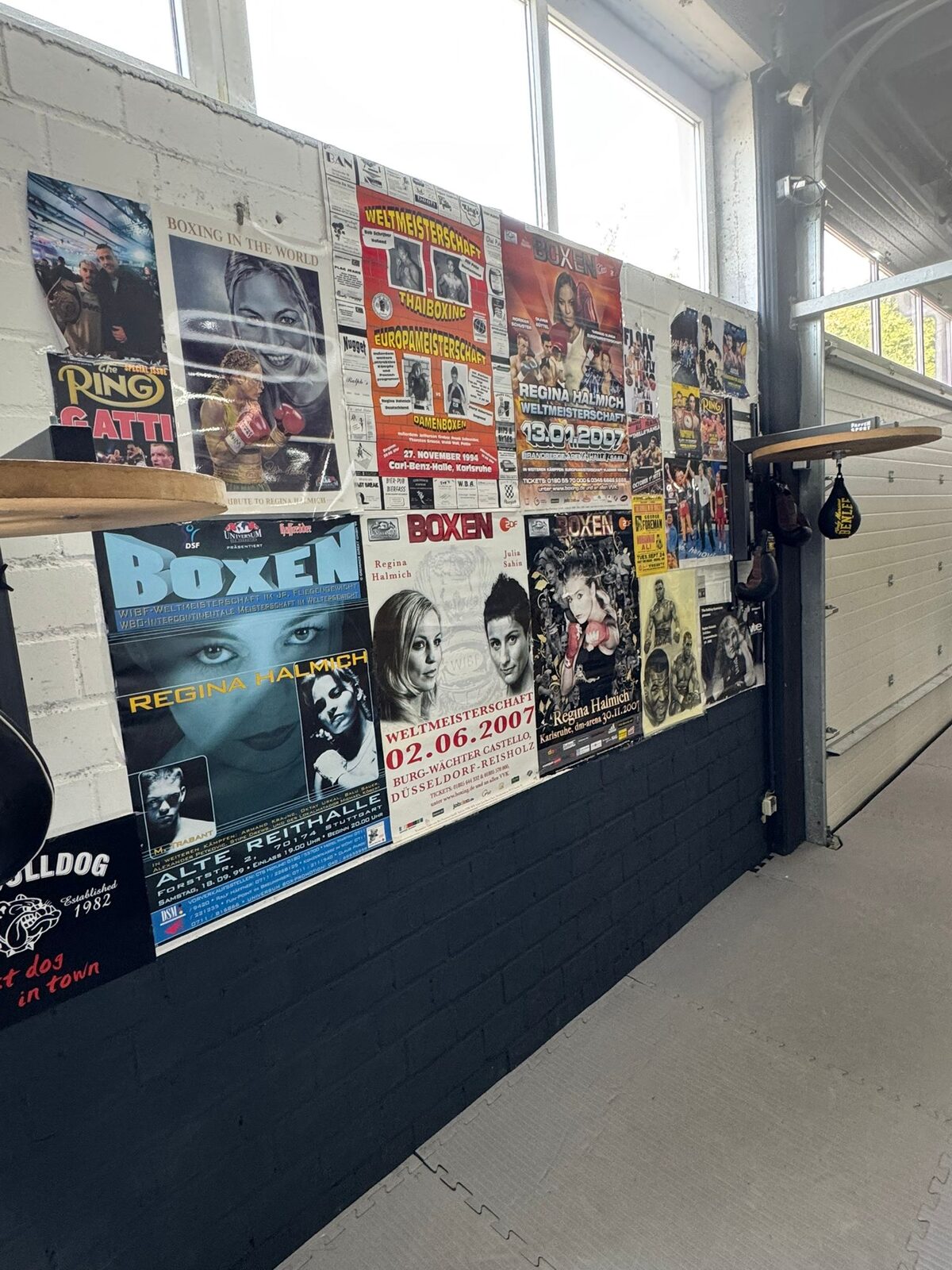 Posterwand mit Box-Plakaten