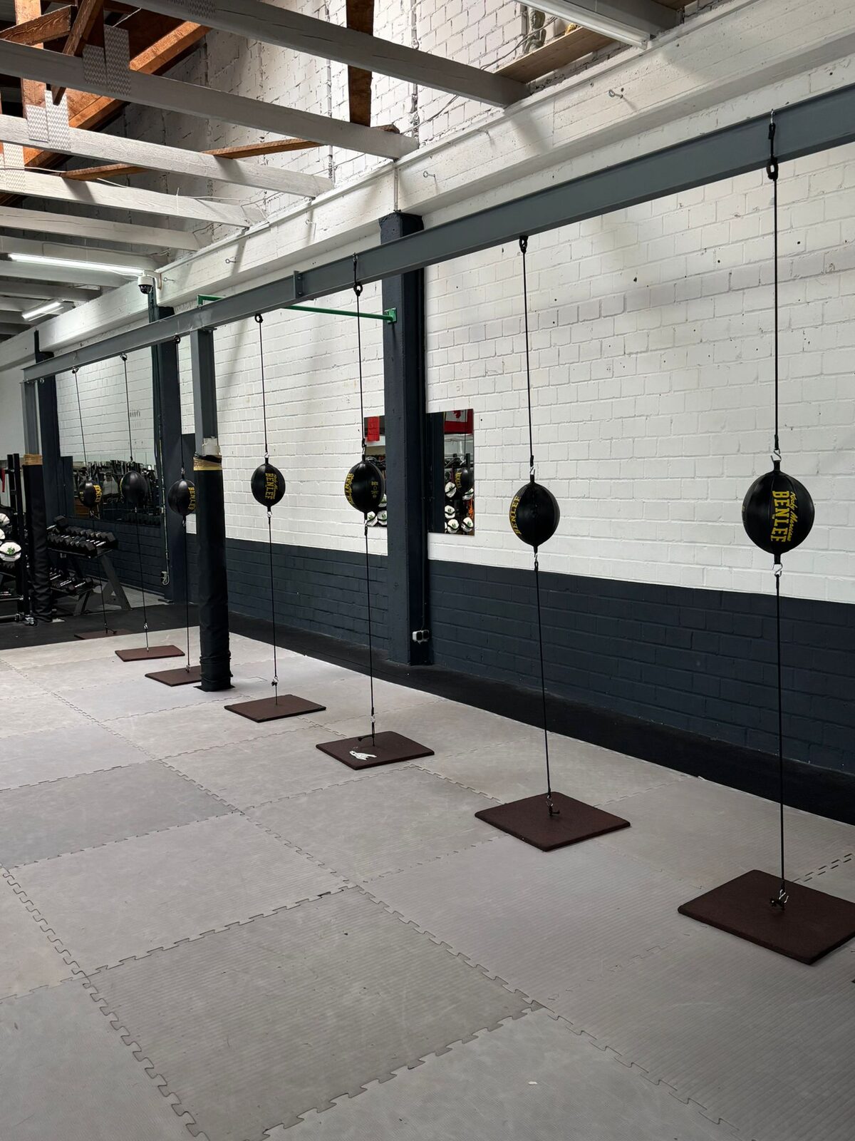 Double-End-Bälle Trainingsbereich