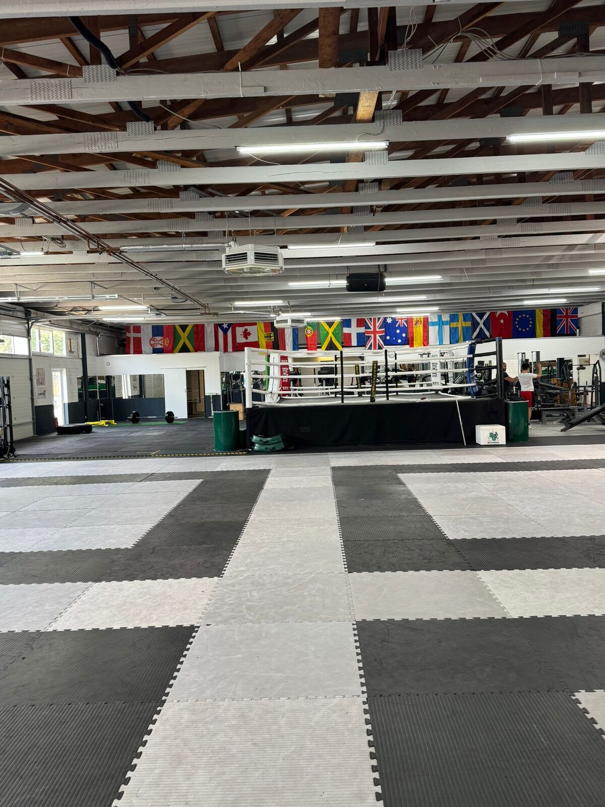 Trainingshalle im Bulldog Gym Heidelberg
